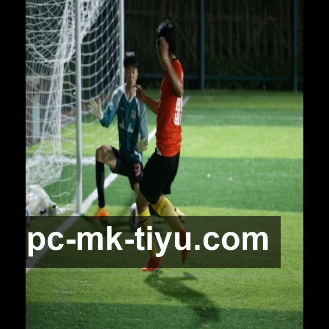 MK体育网页版使用体验解析：功能亮点与实用技巧全面分享